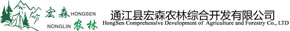 网站Logo